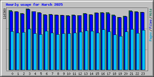 Hourly usage for March 2025